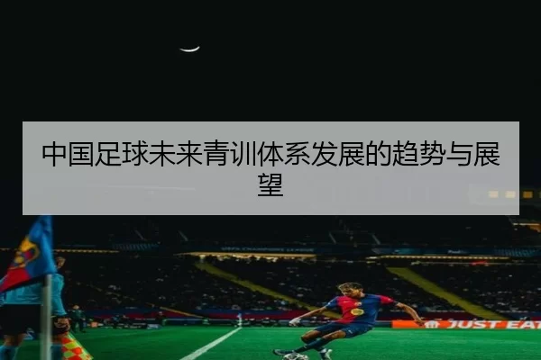 中国足球未来青训体系发展的趋势与展望